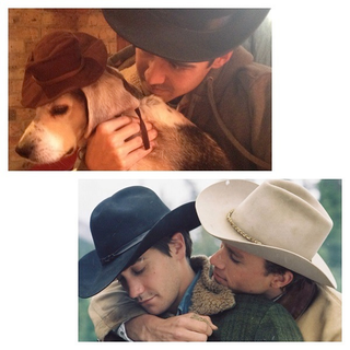 Illustration for article titled Some guy recreated famous romantic moments from film history with a dog